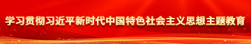 爆操美女的逼www学习贯彻习近平新时代中国特色社会主义思想主题教育